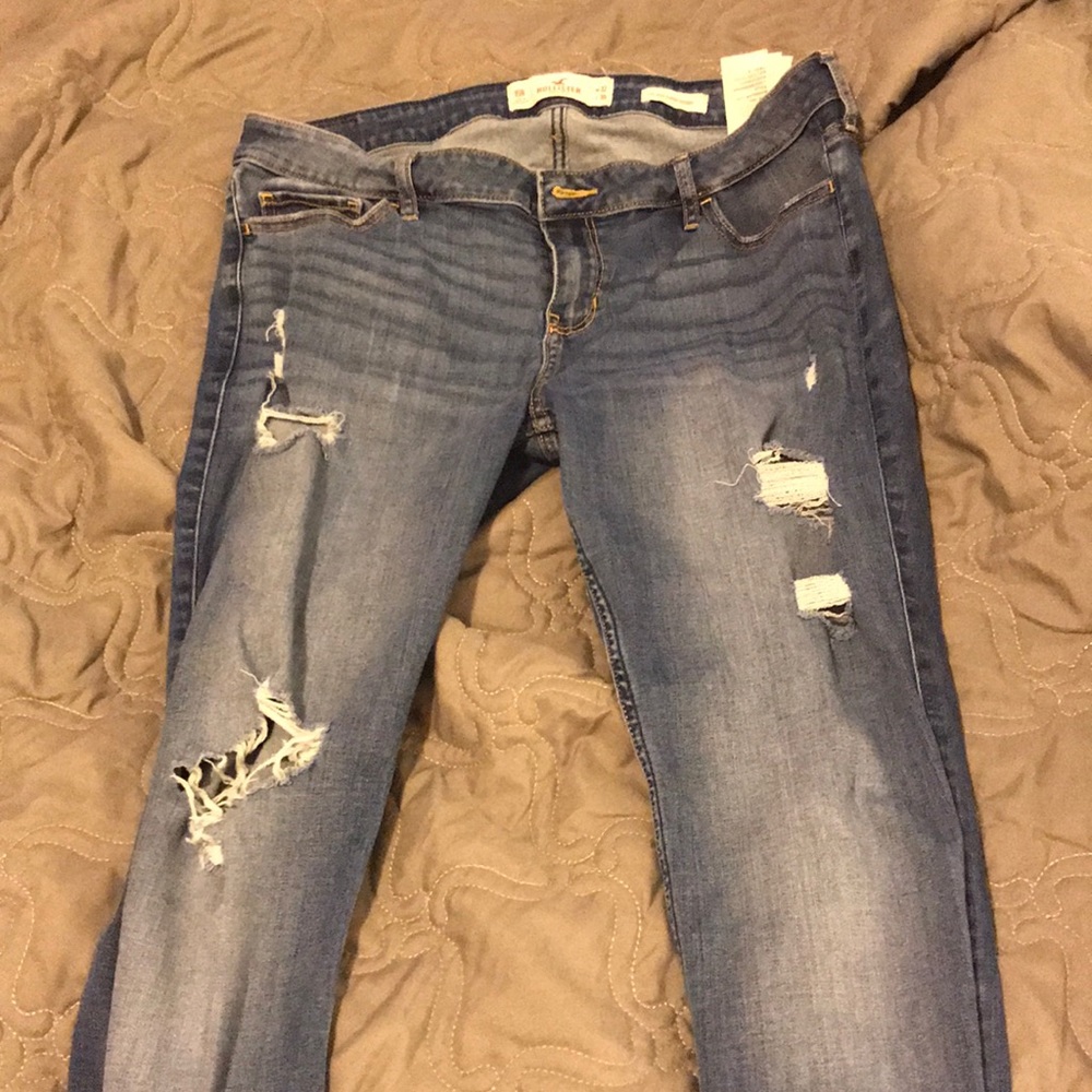 Hollister sz 15r